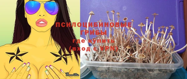 соль ск Осташков